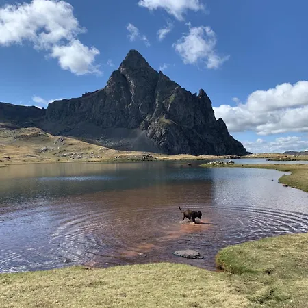 Bosque. Con Vistas A Pistas. Pirineos360 Apartman *