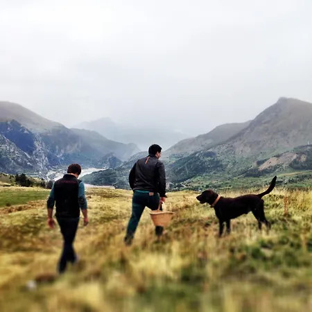Bosque. Con Vistas A Pistas. Pirineos360 * Formigal