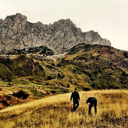 Bosque. Con Vistas A Pistas. Pirineos360