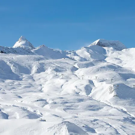 Bosque. Con Vistas A Pistas. Pirineos360 *