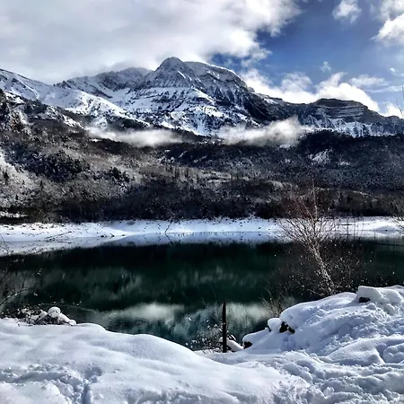 Bosque. Con Vistas A Pistas. Pirineos360 * Formigal
