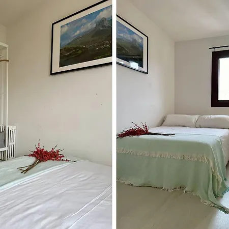 Bosque. Con Vistas A Pistas. Pirineos360