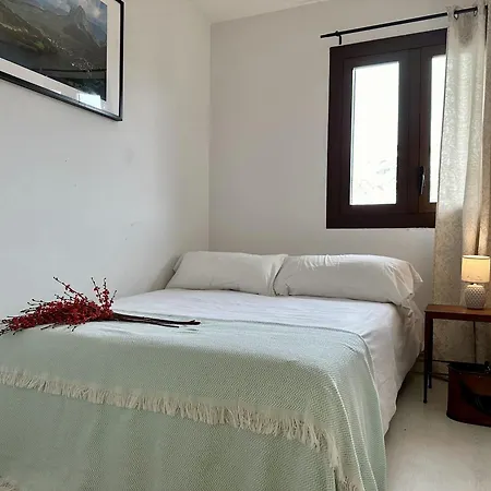 Bosque. Con Vistas A Pistas. Pirineos360 *