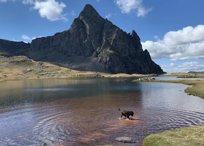 Bosque. Con Vistas A Pistas. Pirineos360 Lägenhet *