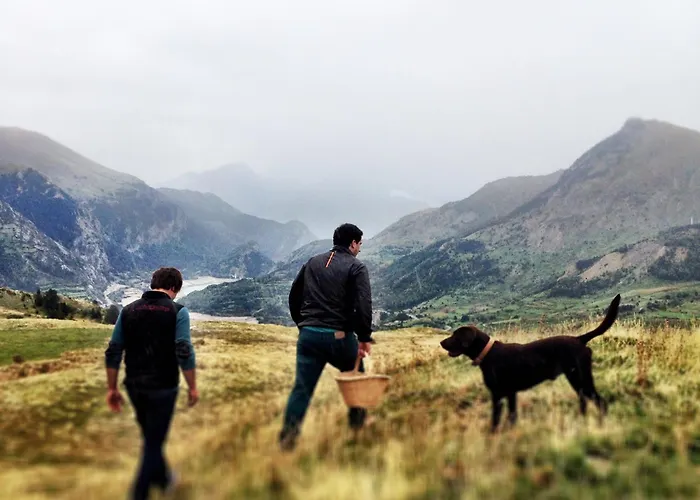Bosque. Con Vistas A Pistas. Pirineos360 * Formigal