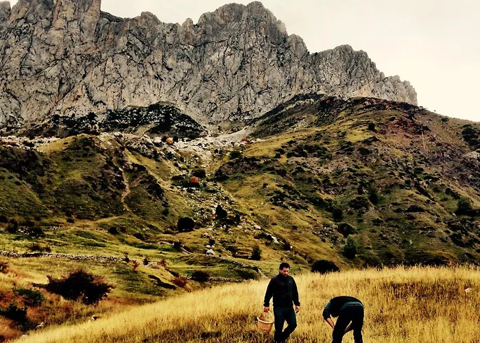 Bosque. Con Vistas A Pistas. Pirineos360