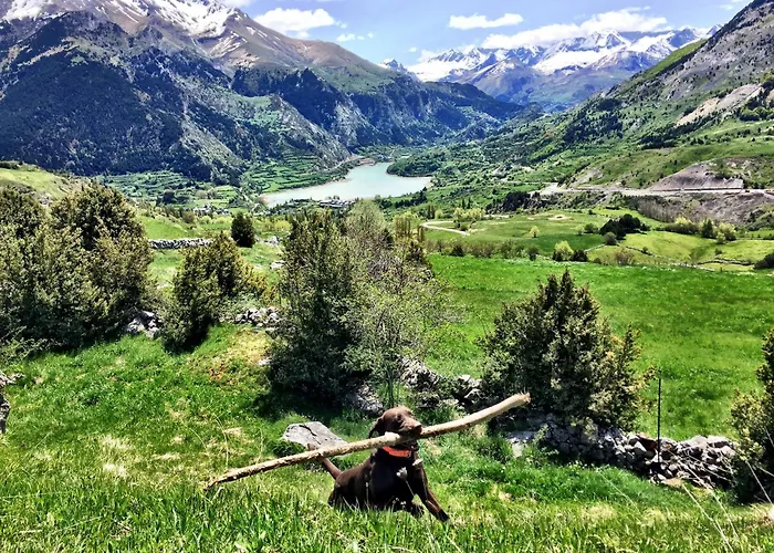 Bosque. Con Vistas A Pistas. Pirineos360 Lägenhet *