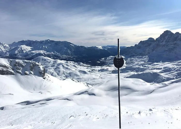 Bosque. Con Vistas A Pistas. Pirineos360 Formigal