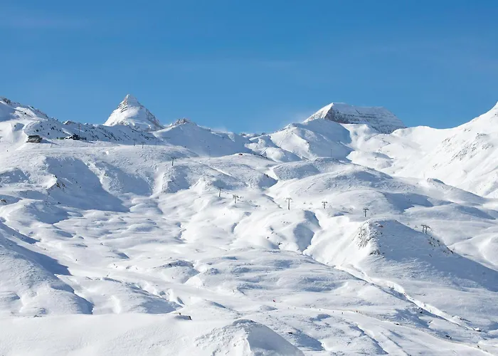 Bosque. Con Vistas A Pistas. Pirineos360 *