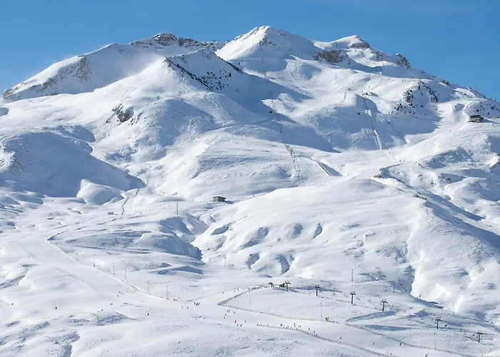 Bosque. Con Vistas A Pistas. Pirineos360 *
