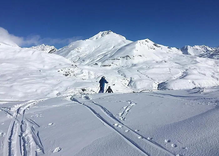 Bosque. Con Vistas A Pistas. Pirineos360 *