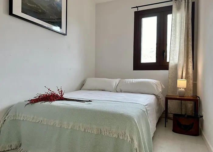 Bosque. Con Vistas A Pistas. Pirineos360 *